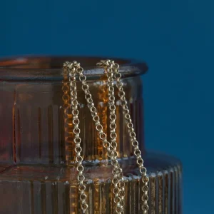 Best Gouden jasseron collier 14 krt Gouden Kettingen