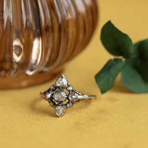 Online Gouden ring met roosdiamant 14 krtt/925 Diamanten Ringen