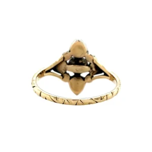 Online Gouden ring met roosdiamant 14 krtt/925 Diamanten Ringen