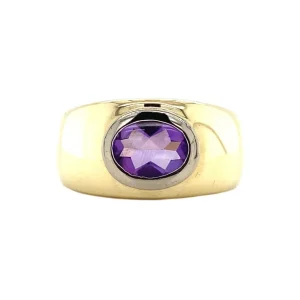 Fashion Gouden ring met amethist 14 krt Ringen Met Edelsteen