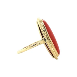 Online Gouden ring met bloedkoraal 14 krt Ringen Met Edelsteen