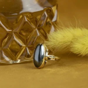Outlet Gouden ring met hematiet 14 krt Ringen Met Edelsteen