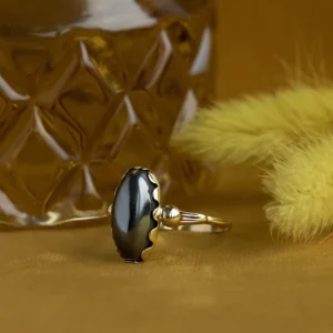 Outlet Gouden ring met hematiet 14 krt Ringen Met Edelsteen