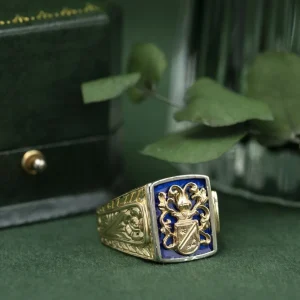 Outlet Gouden zegelring met emaille 18 krt Ringen Met Edelsteen