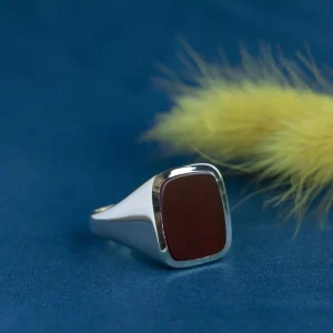 Online Gouden zegelring met lagensteen carneool 14 krt Ringen Met Edelsteen