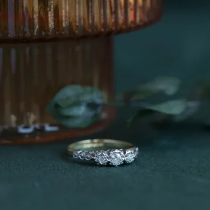 Hot Rijring met diamant 9 krt Diamanten Ringen