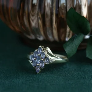 Hot Ring met tanzaniet en diamant 9 krt Diamanten Ringen | Ringen Met Edelsteen